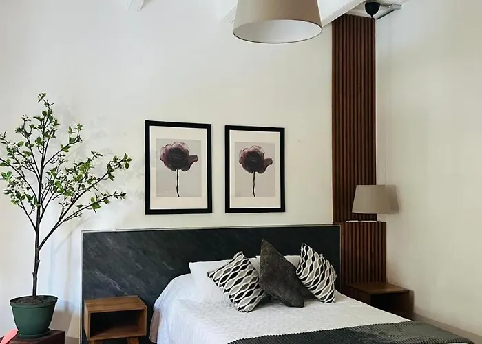 Morada Luna Roma Séjour chez l'habitant Mexico
